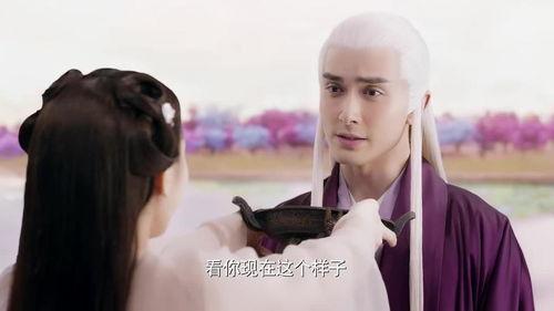 凤九帝君吃瓜,凤九帝君的瓜田奇遇记