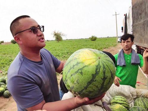 洞头吃瓜,夏日消暑必备的“吃瓜”之旅