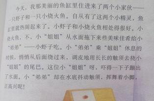 吃瓜日记100字,揭秘娱乐圈幕后故事