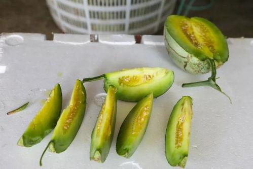 吃瓜崩牙,揭秘娱乐圈的意外瞬间