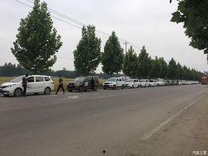 曹县最新吃瓜事件,揭秘网络热议背后的真相