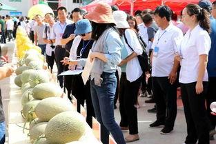 民勤蜜瓜吃瓜比赛,挑战极限的吃瓜大赛盛况纪实