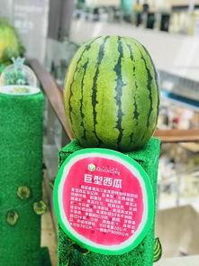 千城小区吃瓜,吃瓜群众见证的社区风云录