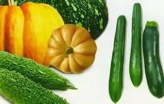 韩城哪里吃瓜,探寻当地特色美食之旅