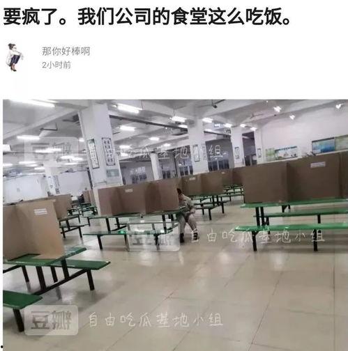 豆瓣 自由吃瓜基地小组,揭秘网络社交圈的“吃瓜”文化