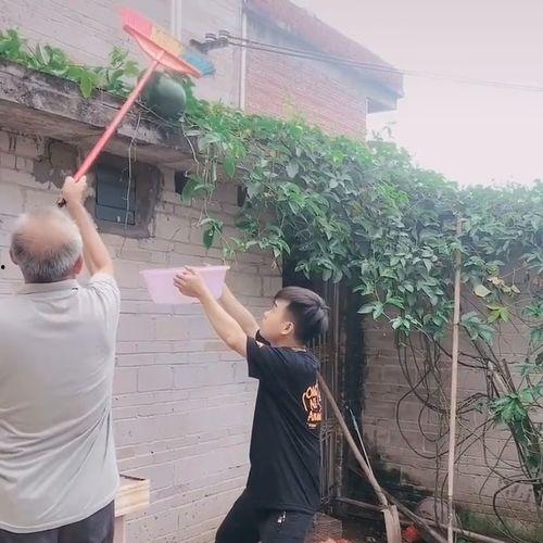 吃瓜没有好下场,揭秘“没有好下场”的真相