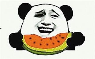 吃瓜缘分,一场意外的吃瓜之旅