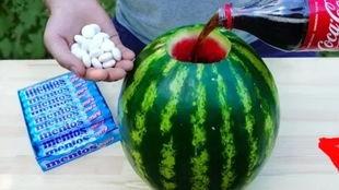 翔安实验吃瓜老师,揭秘校园八卦背后的真相