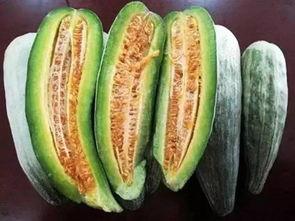 黑皮棱角酥瓜怎么吃,黑皮棱角酥瓜的独特食法揭秘