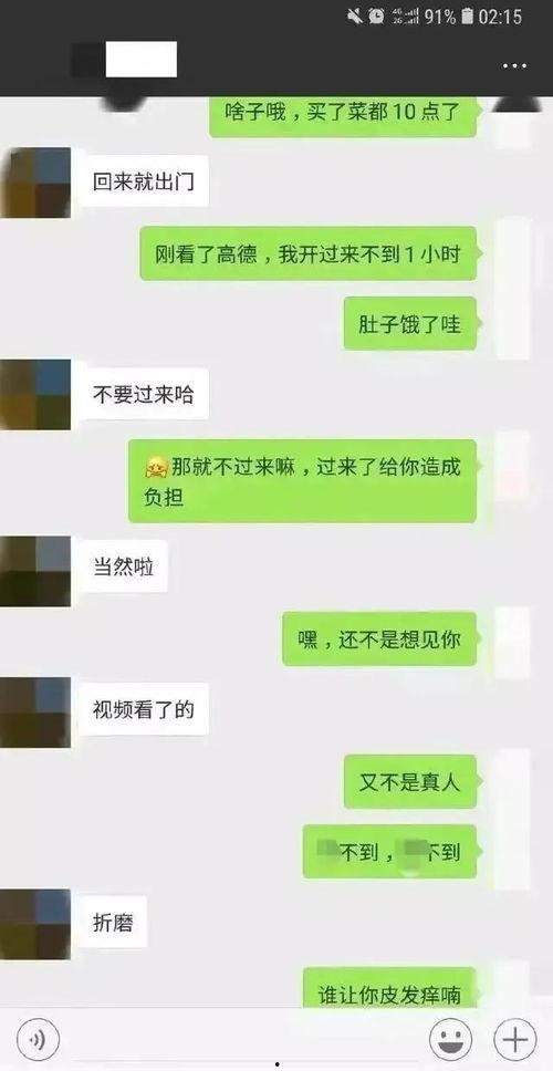 聊天记录吃瓜解剖,吃瓜解剖背后的真相与内幕