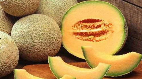 香港吃哈密瓜