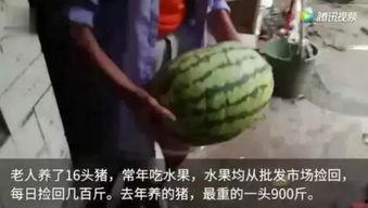 吃瓜还得看重庆,吃瓜群众的美食天堂