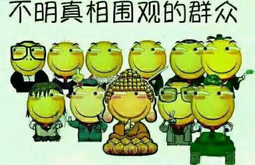 吃瓜转运完结,一场奇幻冒险的圆满落幕