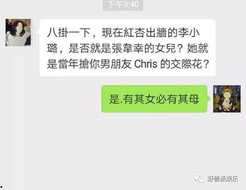 吃瓜群众变主角小说,逆袭的瓜田传奇